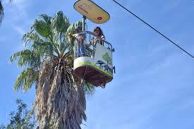 Zoológico de Lisboa